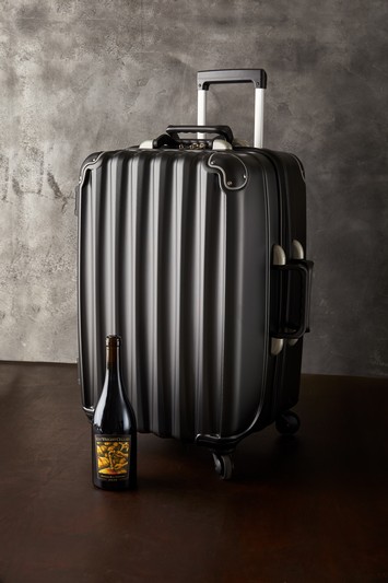 Suitcase-Large